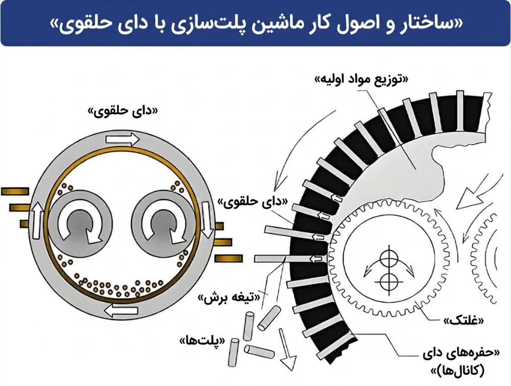 اجزای دستگاه پلتساز رینگدای و مسیر فشردهسازی خوراک