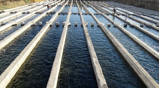 استخرها و کانالهای بتنی پرورش ماهی